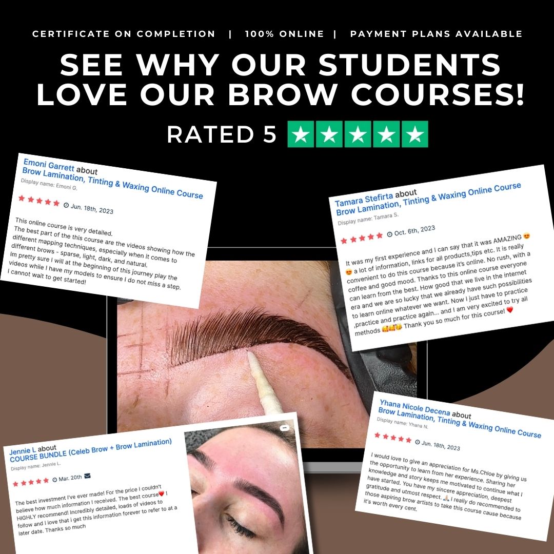 Advanced Brow Mapping Course