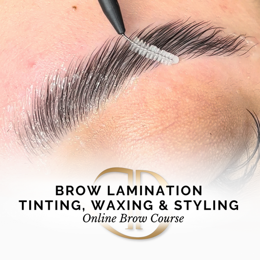 Brow Lamination, Tinting & Waxing Online Course