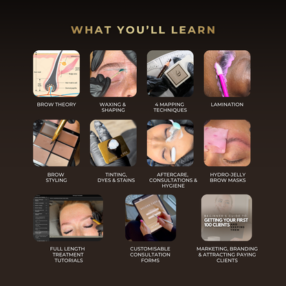 ALL-IN-ONE Brow Course Bundle