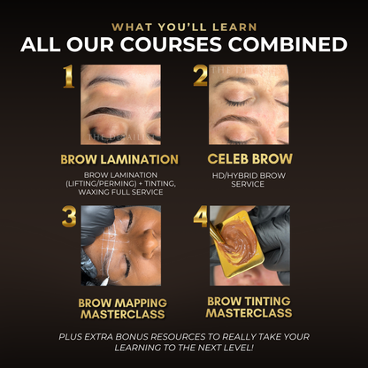 ALL-IN-ONE Brow Course Bundle