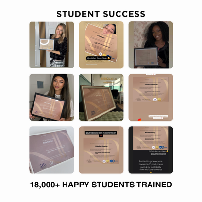 Brow Lamination, Hybrid Dye, Mapping & Waxing Online Course