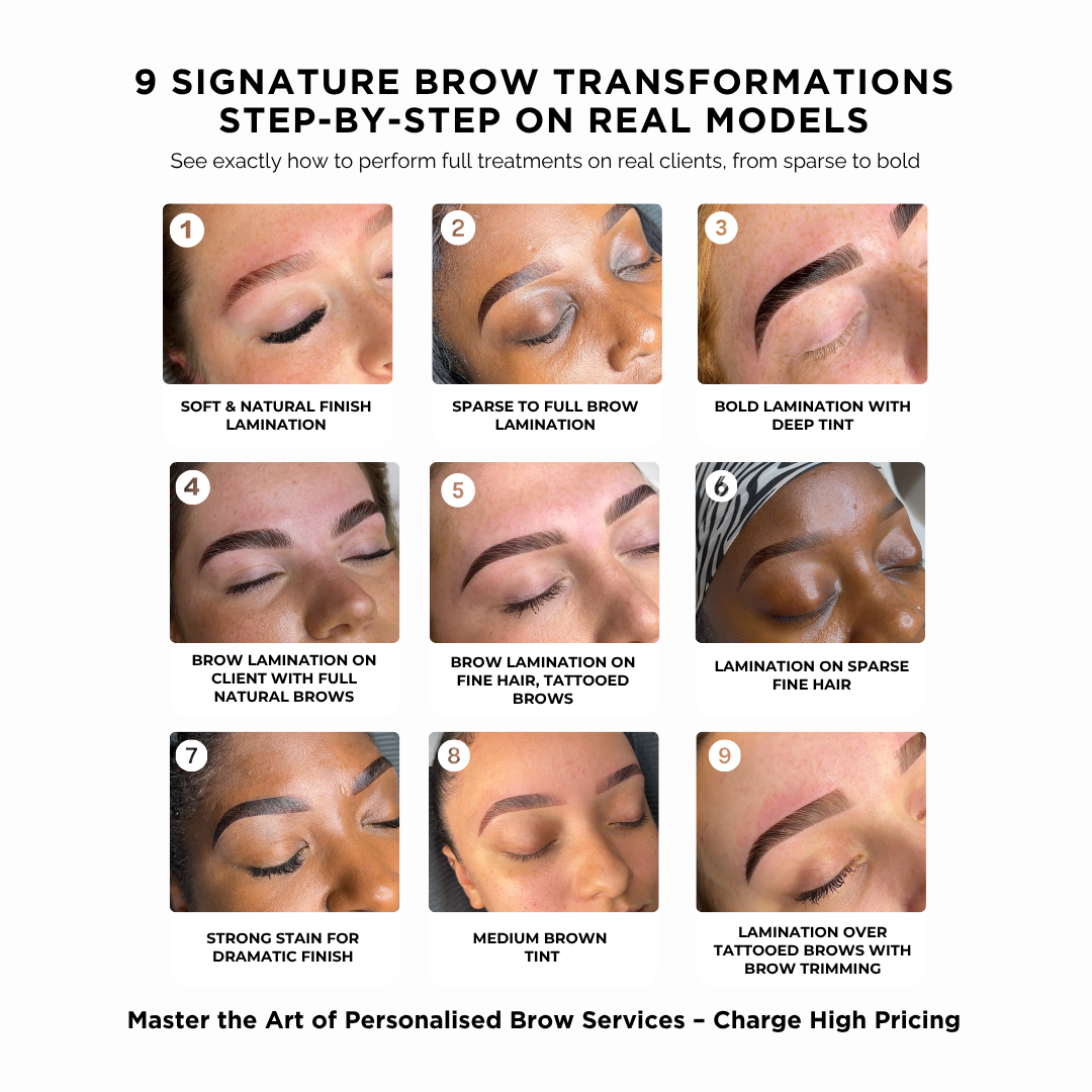Brow Lamination, Hybrid Dye, Mapping & Waxing Online Course