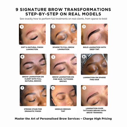 Brow Lamination, Hybrid Dye, Mapping & Waxing Online Course