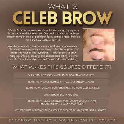 Celeb Brow (Tinting & Waxing) Online Course