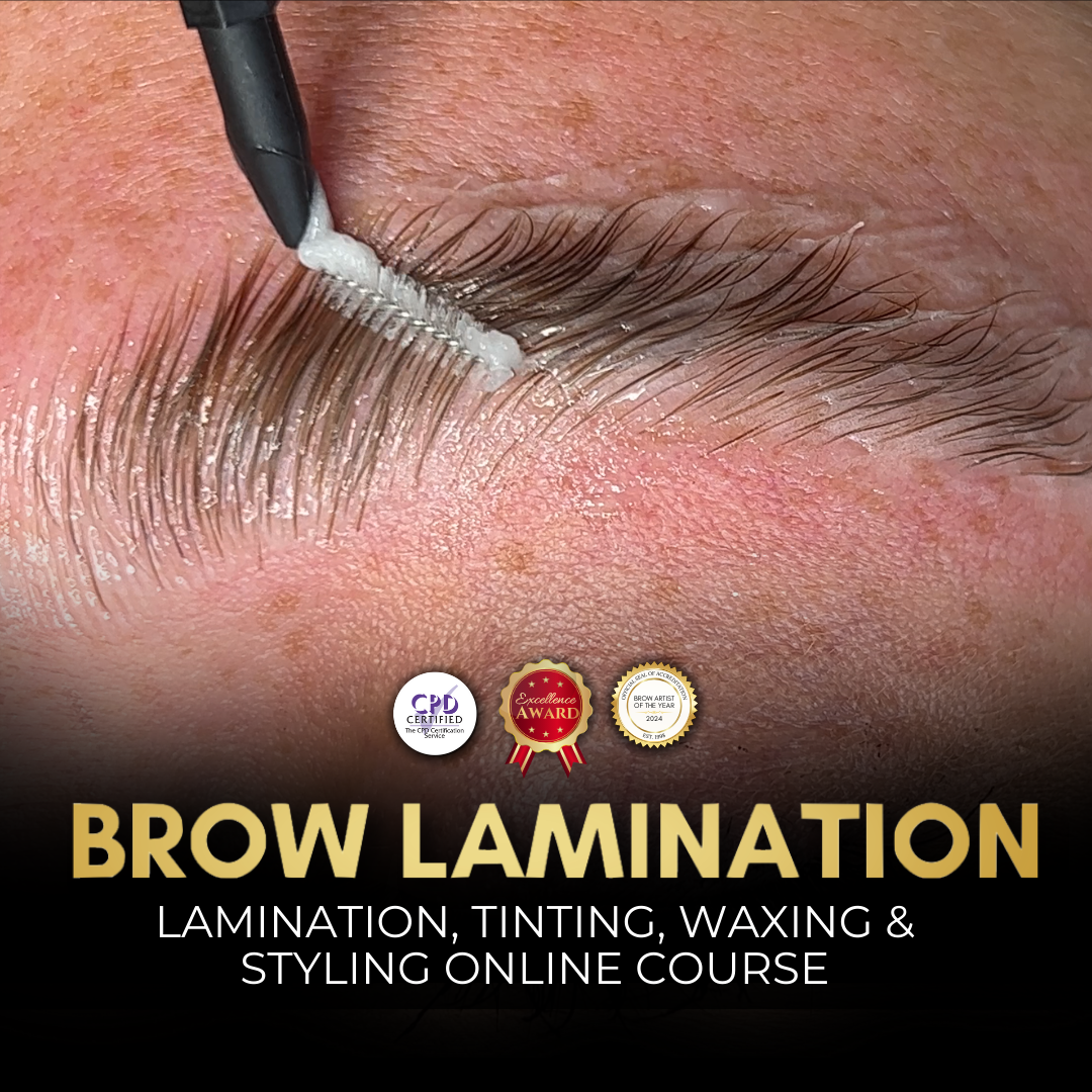 Brow Lamination, Tinting & Waxing Online Course