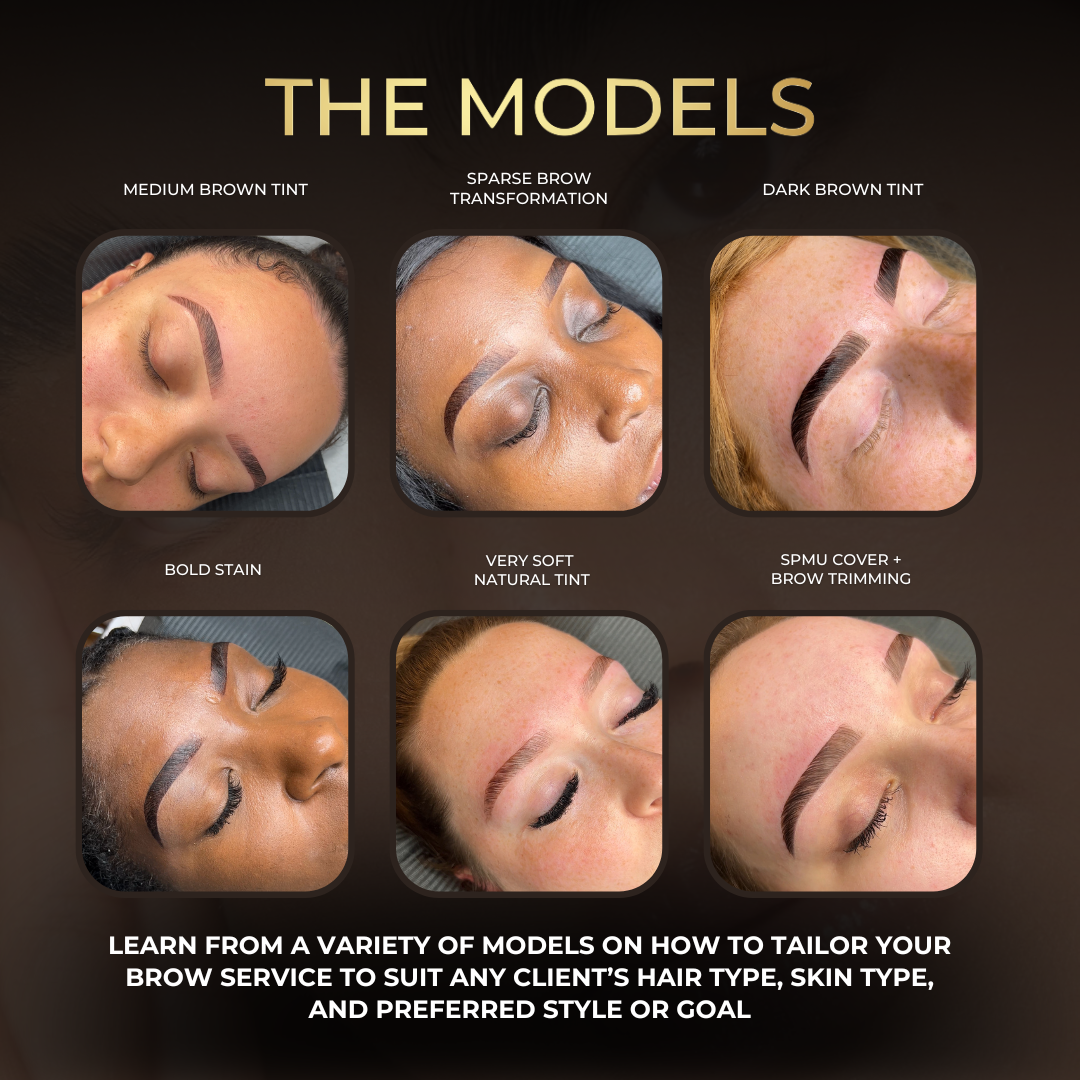 Brow Lamination, Tinting & Waxing Online Course