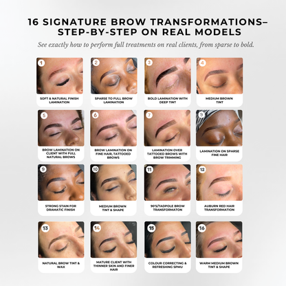 The Ultimate Brow Artist Bundle – 4 Services, 1 Certificate
